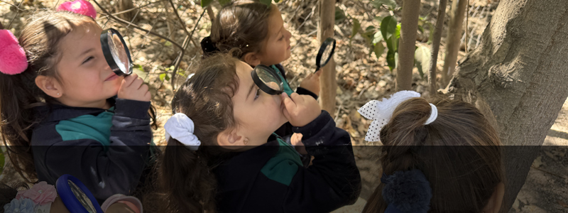 ¿Qué encontramos en nuestro jardín?